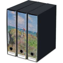 Carica l'immagine nel visualizzatore di Gallery, SET 3 RACCOGLITORI ARCHIVIO -COMPATIBILI KAOS- PRODOTTI DA HALTADEFINIZIONE CM 26x29x35 DORSO 8