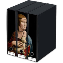 Carica l'immagine nel visualizzatore di Gallery, SET 3 RACCOGLITORI ARCHIVIO -COMPATIBILI KAOS- PRODOTTI DA HALTADEFINIZIONE CM 26x29x35 DORSO 8