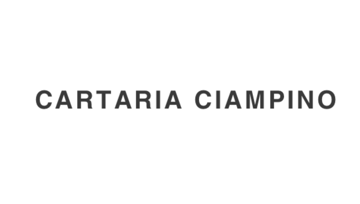DIARIO SMEMORANDA - MANGA Special Edition - 2023-2024, 16 Mesi, Settem –  Cartaria Ciampino
