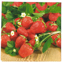 Carica l'immagine nel visualizzatore di Gallery, TOVAGLIOLI IN CARTA PER DECOUPAGE CM 33x33 5 PEZZI