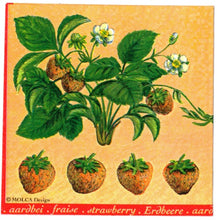 Carica l'immagine nel visualizzatore di Gallery, TOVAGLIOLI IN CARTA PER DECOUPAGE CM 33x33 5 PEZZI