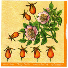 Carica l'immagine nel visualizzatore di Gallery, TOVAGLIOLI IN CARTA PER DECOUPAGE CM 33x33 5 PEZZI