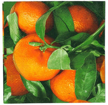 Carica l'immagine nel visualizzatore di Gallery, TOVAGLIOLI IN CARTA PER DECOUPAGE CM 33x33 5 PEZZI