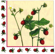 Carica l'immagine nel visualizzatore di Gallery, TOVAGLIOLI IN CARTA PER DECOUPAGE CM 33x33 5 PEZZI