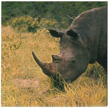 Carica l'immagine nel visualizzatore di Gallery, TOVAGLIOLI IN CARTA PER DECOUPAGE CM 33x33 5 PEZZI