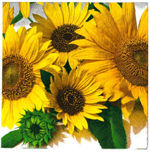 Carica l'immagine nel visualizzatore di Gallery, TOVAGLIOLI IN CARTA PER DECOUPAGE CM 33x33 5 PEZZI