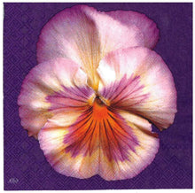 Carica l'immagine nel visualizzatore di Gallery, TOVAGLIOLI IN CARTA PER DECOUPAGE CM 33x33 5 PEZZI