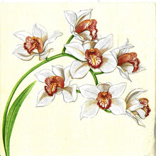 Carica l'immagine nel visualizzatore di Gallery, TOVAGLIOLI IN CARTA PER DECOUPAGE CM 33x33 5 PEZZI