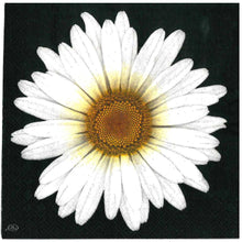 Carica l&#39;immagine nel visualizzatore di Gallery, Tovaglioli per decoupage - gerbera bianca
